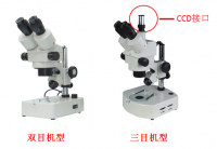 双目显微镜和三目显微镜具体区分